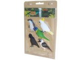 Australian Birds: 5 Pack