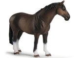 Hanoverian Stallion