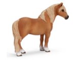 Dartmoor Pony Stallion (tiny rub)