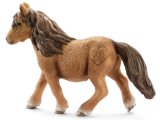 Shetland Pony Mare