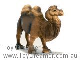 Bactrian Camel (with Tag!)