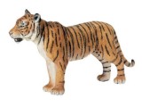Tiger, Female
