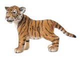 Tiger Cub, standing