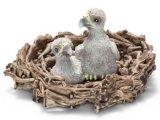 Baby eagles in nest