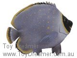 Reticulated Butterfly Fish