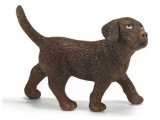 Labrador Puppy Chocolate