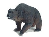 Prehistoric Mammal Cave Bear
