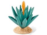 Accessories - Agave