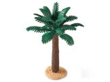 Palm Tree