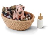 Mini-Pig in Basket