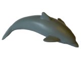 Australian Sea Life: Dolphin